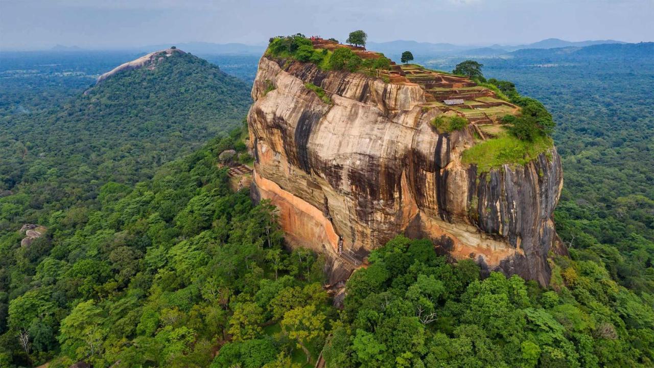 Sun Flower Homestay Sigiriya Exterior photo