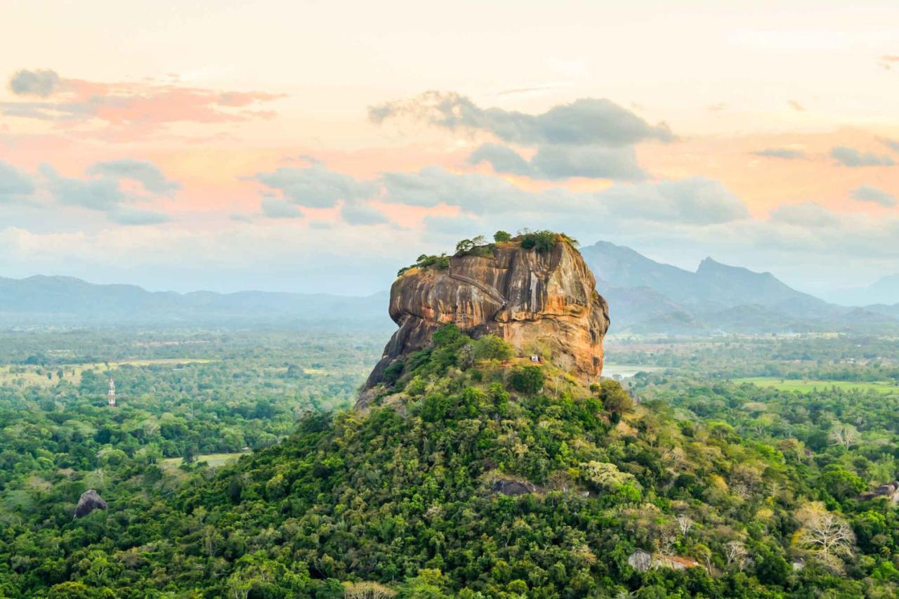 Sun Flower Homestay Sigiriya Exterior photo