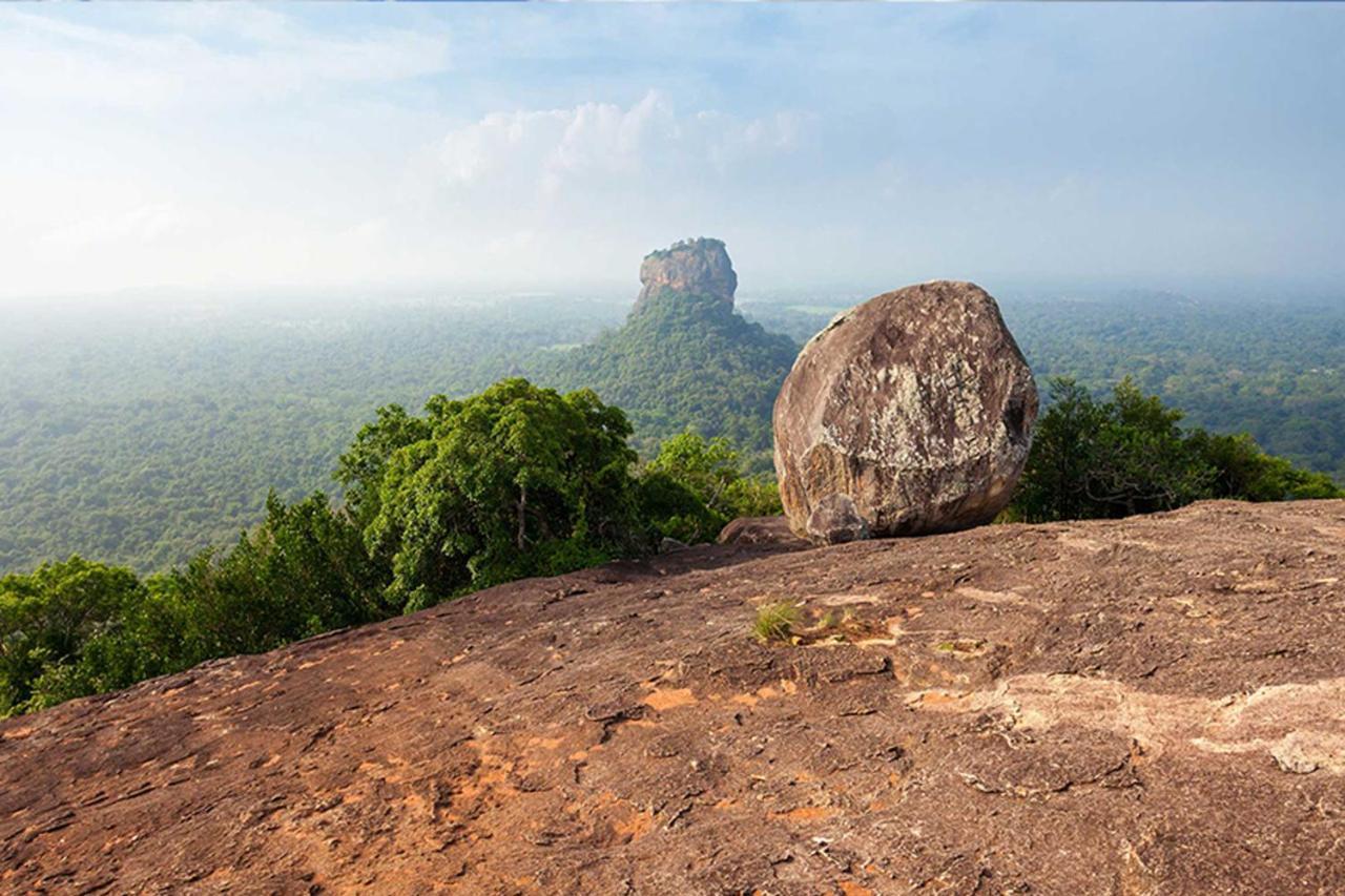 Sun Flower Homestay Sigiriya Exterior photo