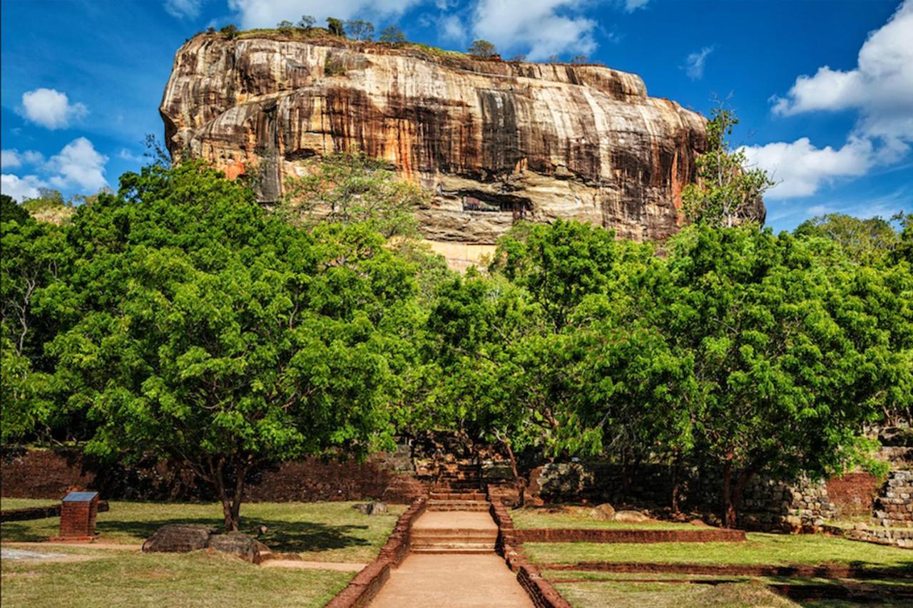 Sun Flower Homestay Sigiriya Exterior photo