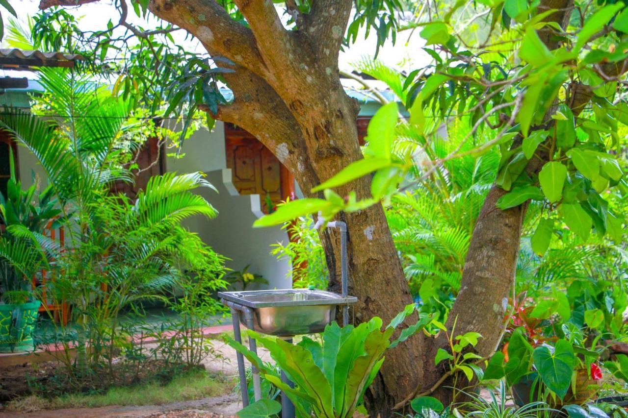 Sun Flower Homestay Sigiriya Exterior photo