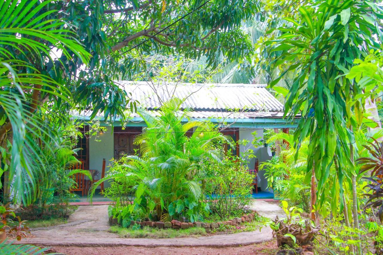 Sun Flower Homestay Sigiriya Exterior photo