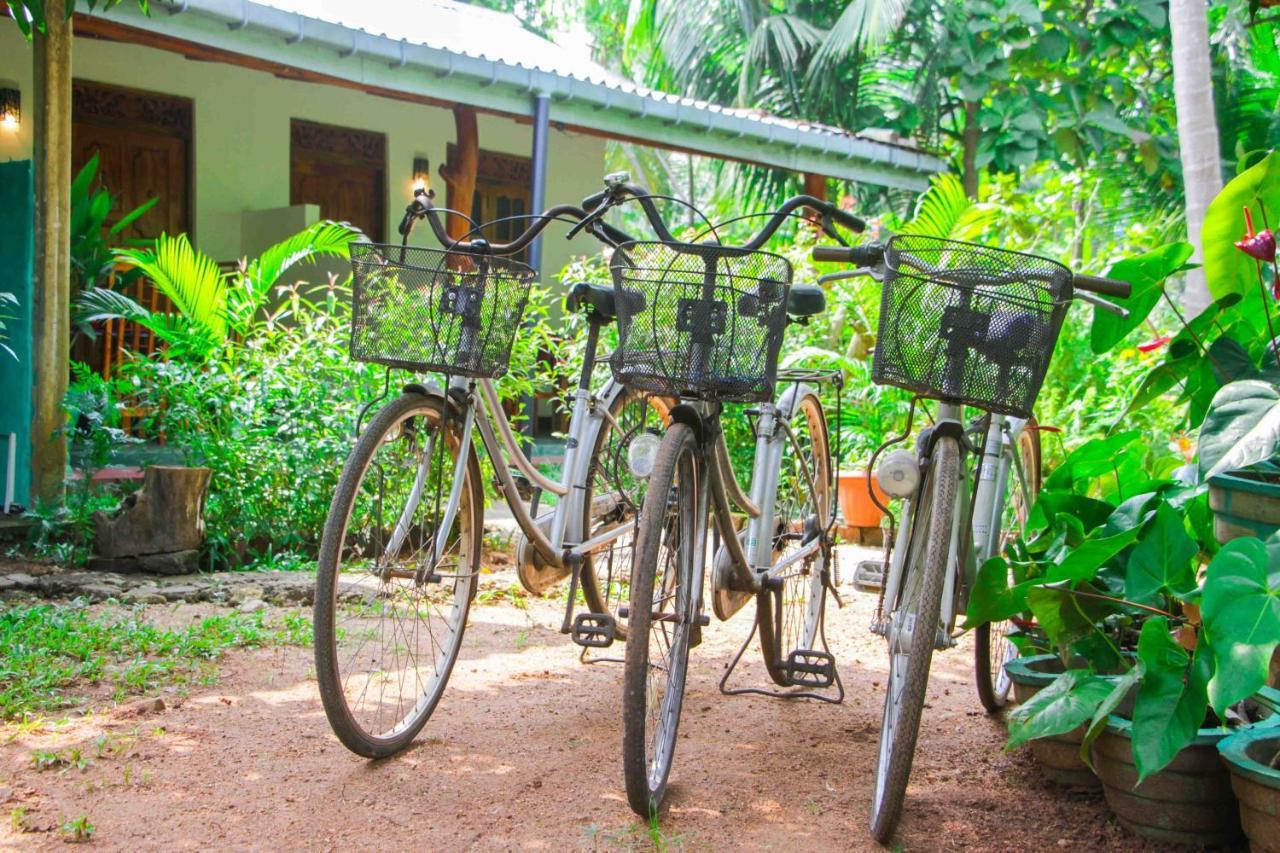 Sun Flower Homestay Sigiriya Exterior photo